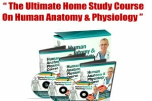 human anatomy and physiology pdf