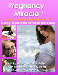 Pregnancy Miracle Book pdf