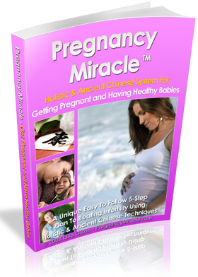 Pregnancy Miracle Book