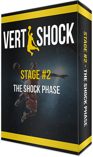 vert shock pdf